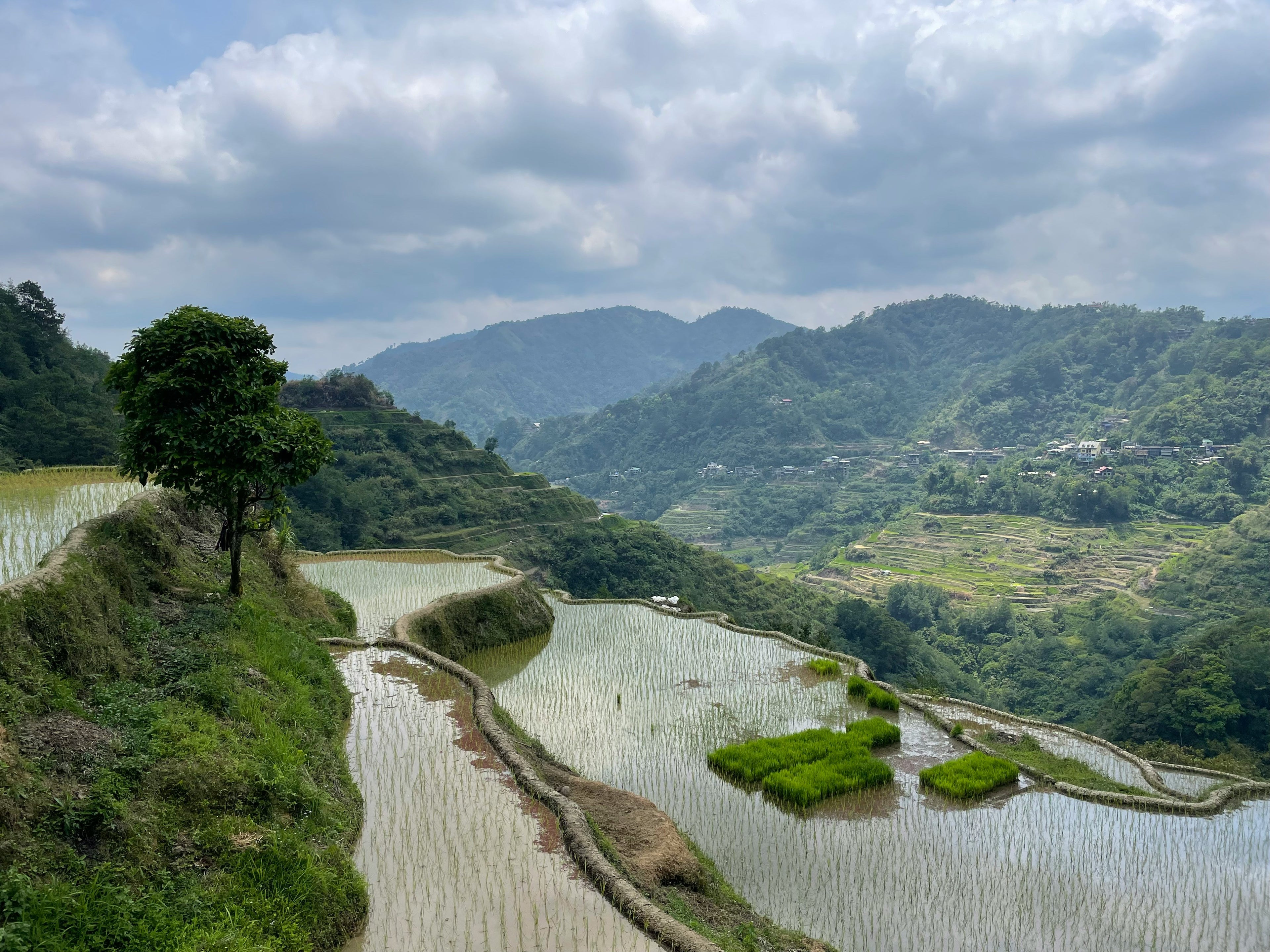 North Luzon Highland Escape 4 Days | Manila · Banaue · Sagada · Baguio