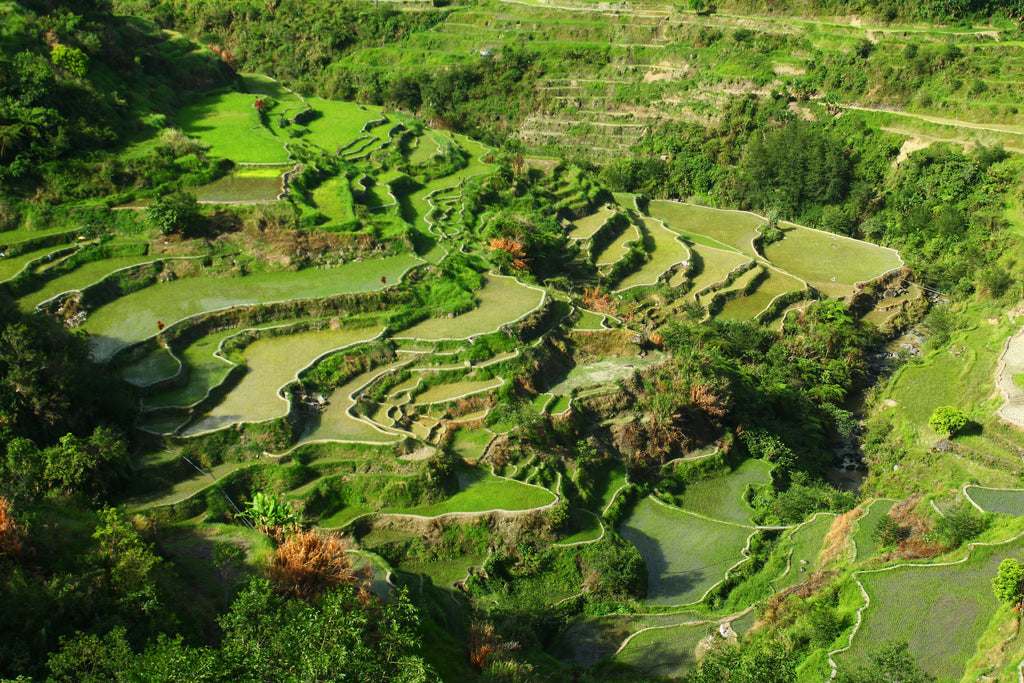 Philippines Highlands & Islands: The Grand Discovery 14 Days | Manila · Banaue · Sagada · Mt. Pinatubo · Bohol · Dumaguete · Siquijor